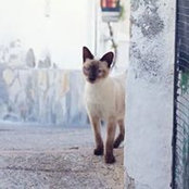 Pilar Lupi's photo