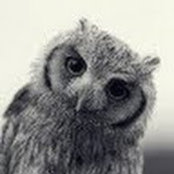 Thalia Gavriel's photo