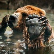 Todd Morgan's photo
