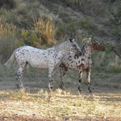 Foto de Leslie Smith
