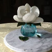 Cathy Page's photo