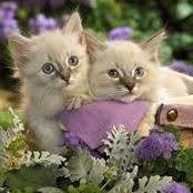 Luann Fitzgerald's photo