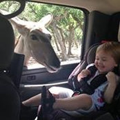 Steven Mcleod's photo
