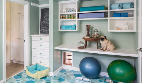 How to Kick Out (and Keep Out) Stinky Home Odours