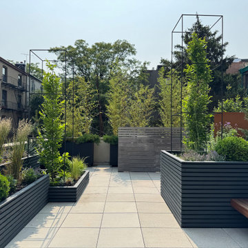 Carroll Gardens Rooftop Terrace