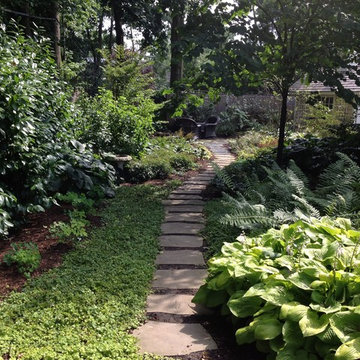 Backyard Habitat