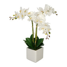 Centerpiece