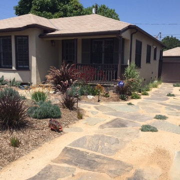 Sunny Encino Yard and Driveway