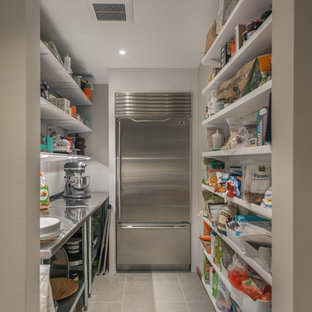 75 Beautiful Midcentury Modern Kitchen Pantry Pictures Ideas Houzz