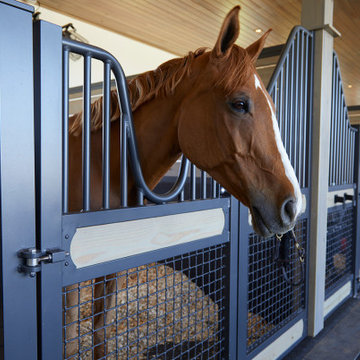 Modern Stables / horse barn