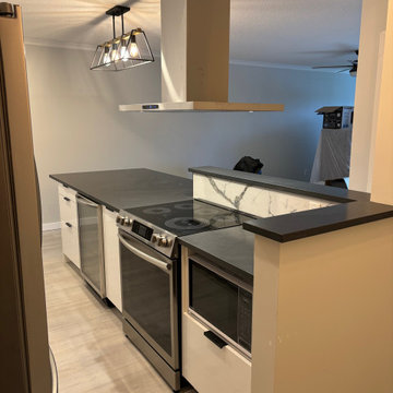 Modern Black and white Kitchen