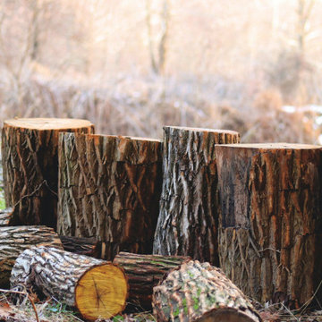 Stump Grinding