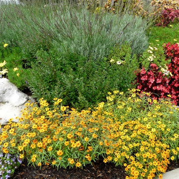 Garden Services & Lawn Maintenance