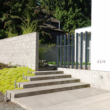 Zig Zag House