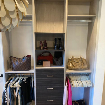 Boston Area Closet Two-Toned Closet with Crown