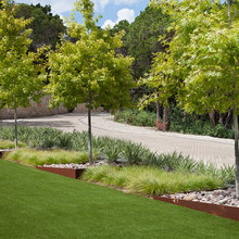 front yard