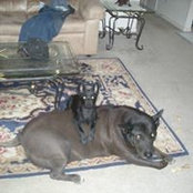 Susan Dimick Natt's photo