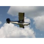 Tracy Willard Crawford's photo