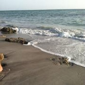 Andrea Solomon's photo