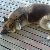 Kirsty Gregory's photo
