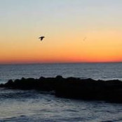 Patty McLaughlin Lawrence's photo