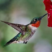 Ginny Perry's photo