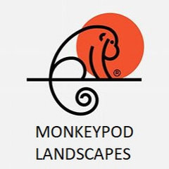 Monkeypod Landscapes