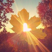Emily Olsen's photo