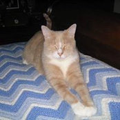 Diane Ayers's photo