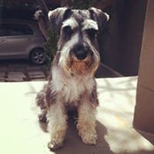Werner Erasmus's photo