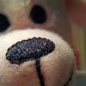 Jose Sandoval's photo
