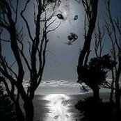 Shelly Stick's photo