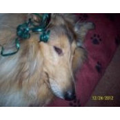 Teri Schley's photo
