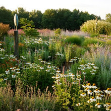 Fredonia Sparky Dan and Secret Garden