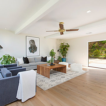 Mid-Century Modern Living Room | La Jolla