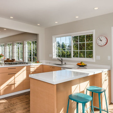 Greenbrae remodel