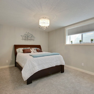 Cranston Basement Renovation