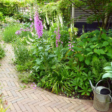 Garden Path