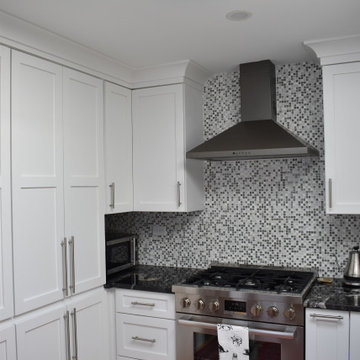 Kitchen renovation and swim deck addition