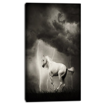 White Horse under Thunder Sky, Animal Canvas Art Print, 16"x32"