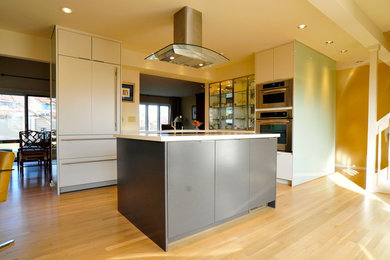 Kitchen - contemporary kitchen idea in Chicago