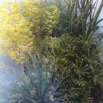 Plantings