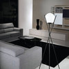 1-Light, 60W Floor Lamp, Black/Opal Glass Shade