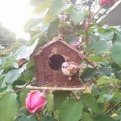 Geri Jenne Tomes's photo