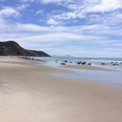 Susan Stewart's photo