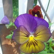 Lynn Clark's photo