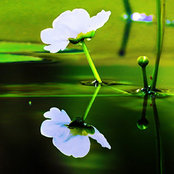 Bana Husban's photo
