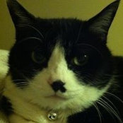 寺尾栄子's photo