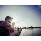 Felix Yuwono's photo