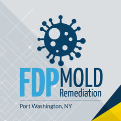 FDP Mold Remediation of Port Washington